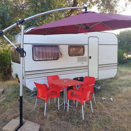 Aquariumi Jale Camping Bagian luar foto