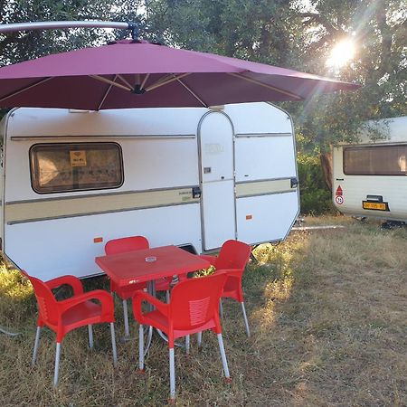Aquariumi Jale Camping Bagian luar foto