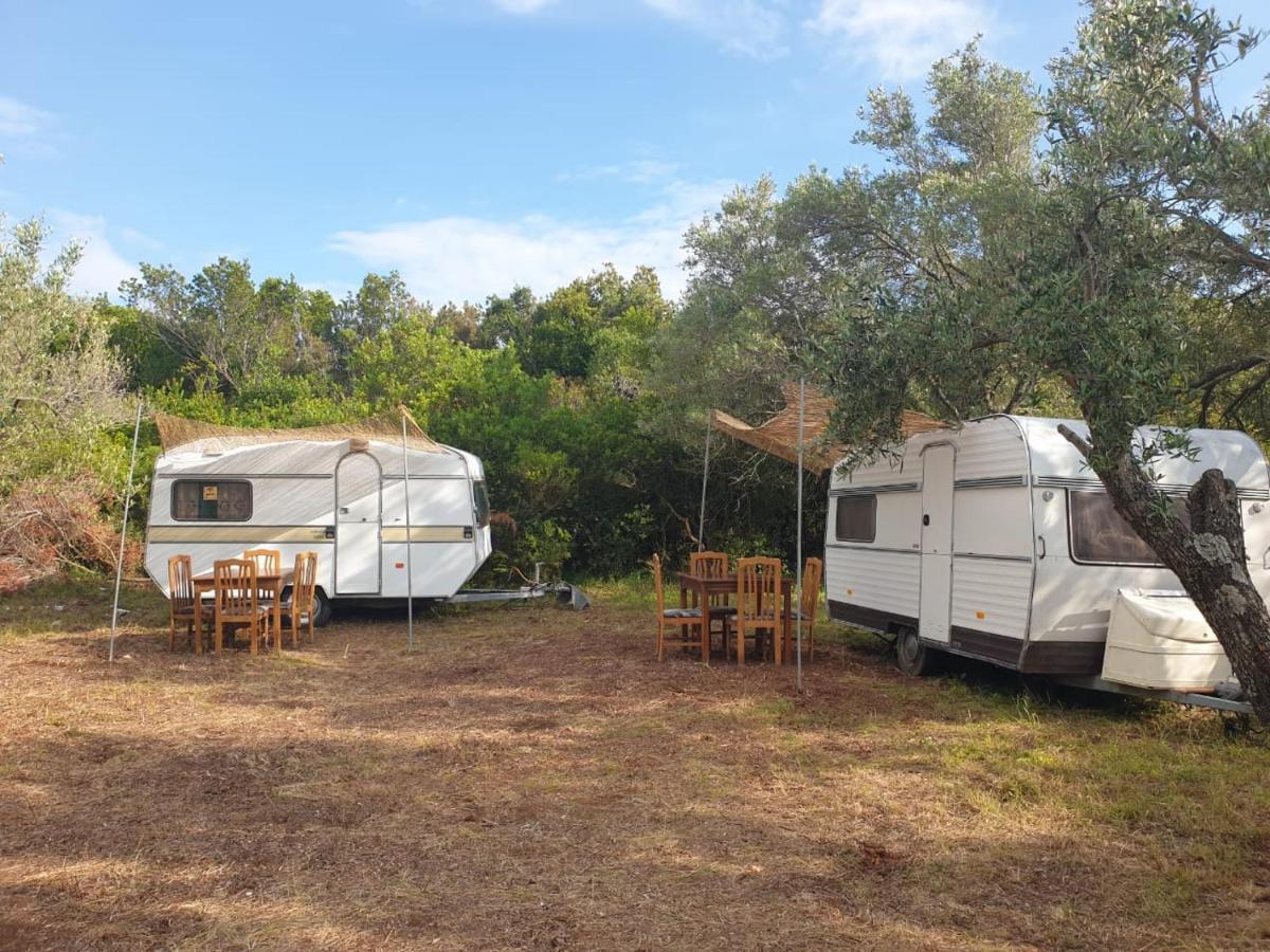 Aquariumi Jale Camping Bagian luar foto