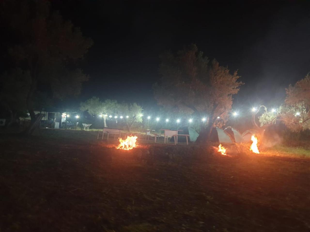 Aquariumi Jale Camping Bagian luar foto