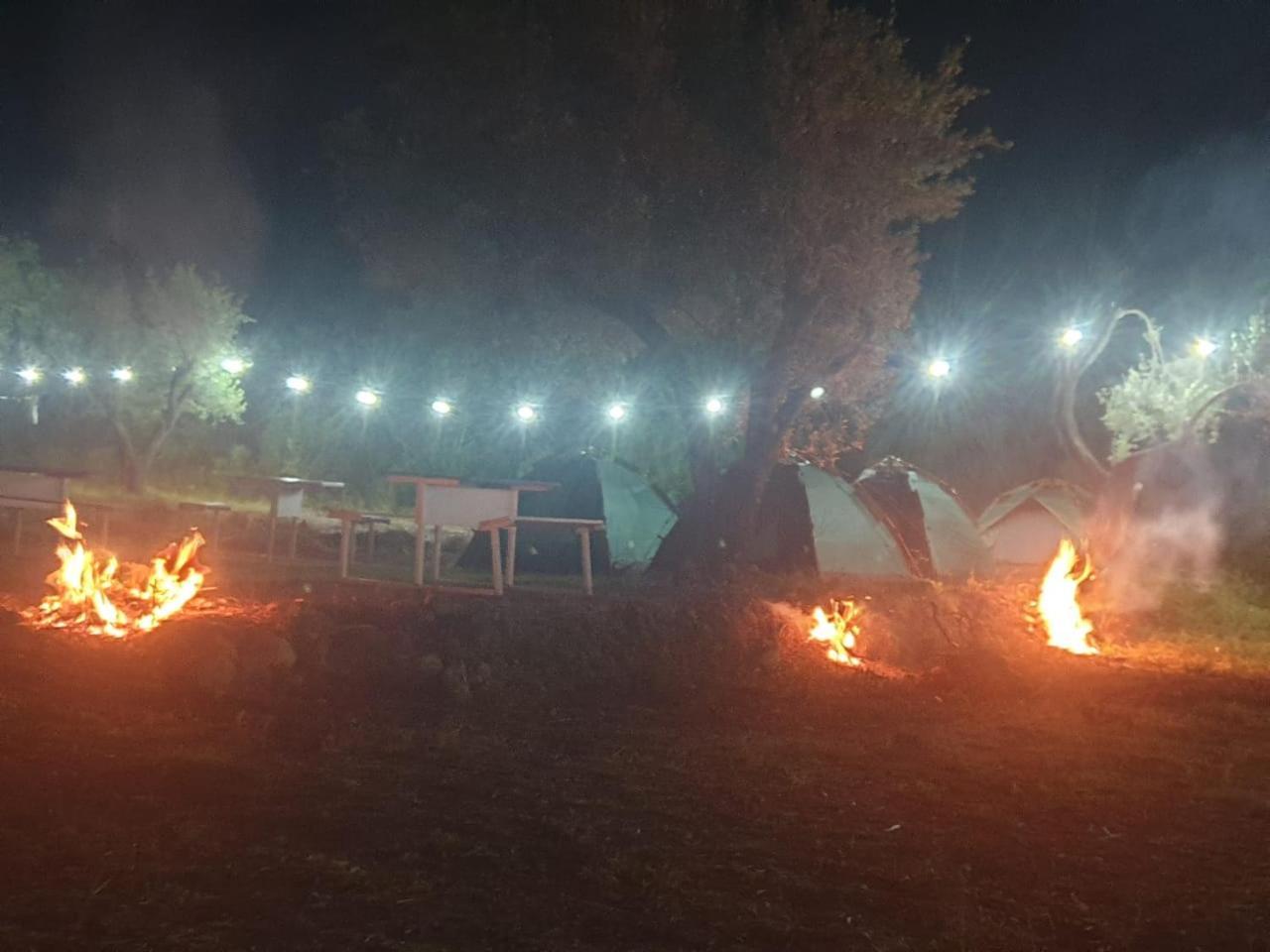 Aquariumi Jale Camping Bagian luar foto